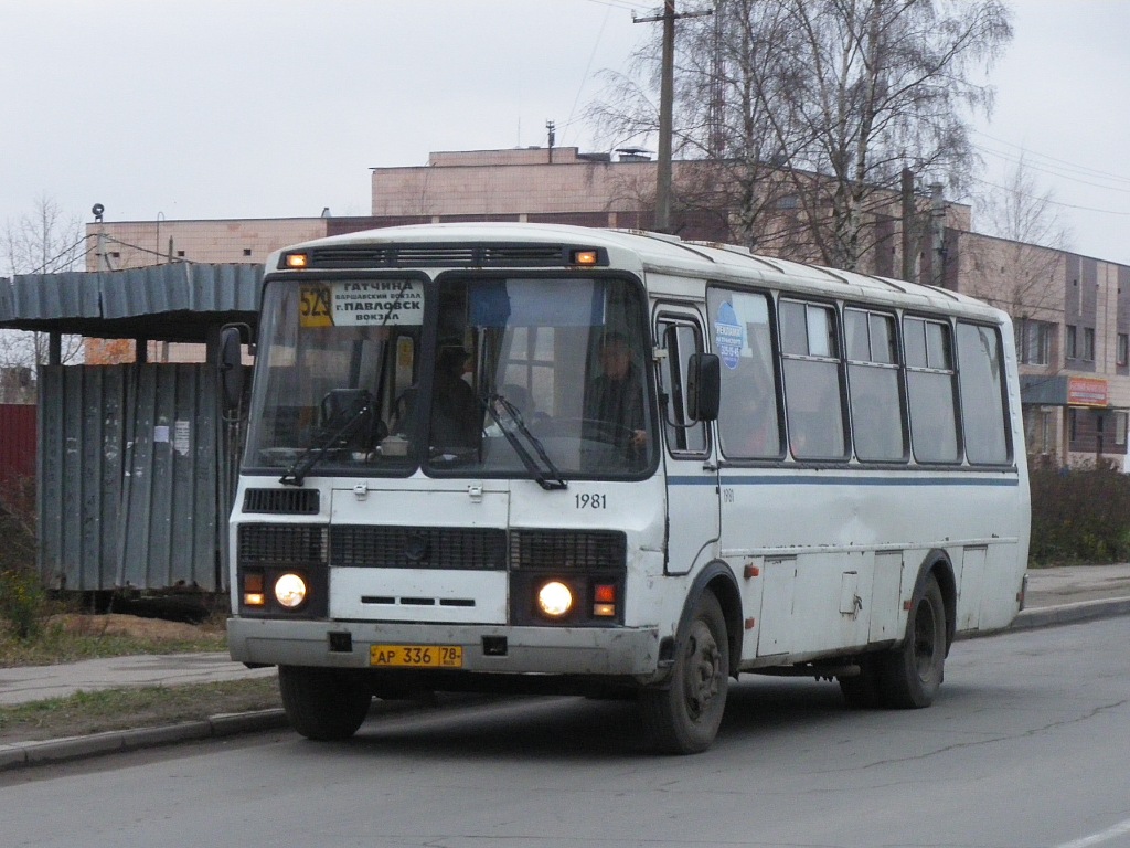 Ленинградская область, ПАЗ-4234 № 1981