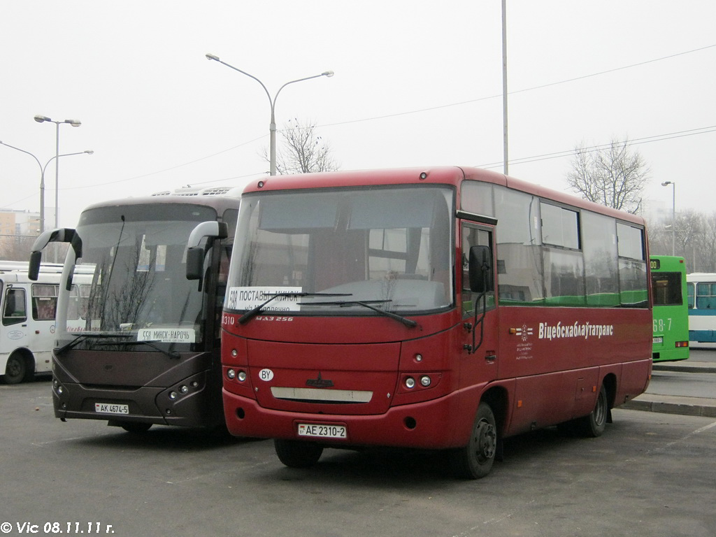 Vitebsk region, MAZ-256.170 Nr. 20310