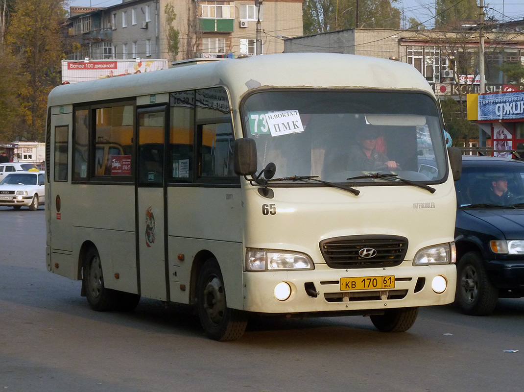 Rostovská oblast, Hyundai County SWB C08 (RZGA) č. 65