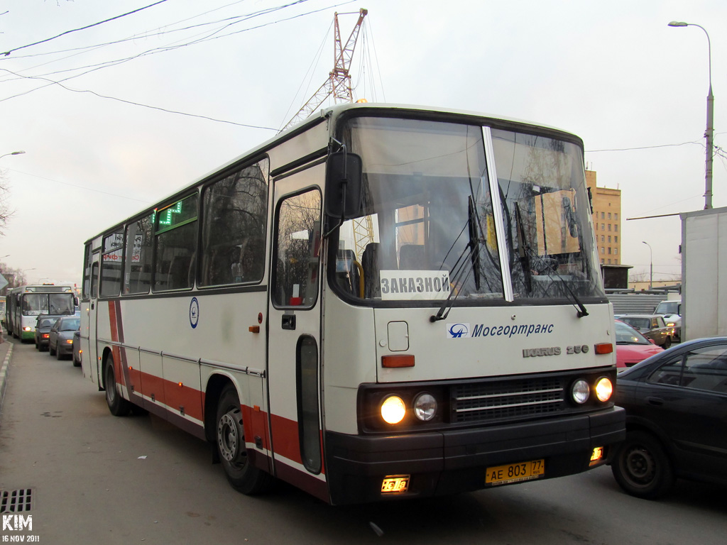 Москва, Ikarus 256.21H № АЕ 803 77