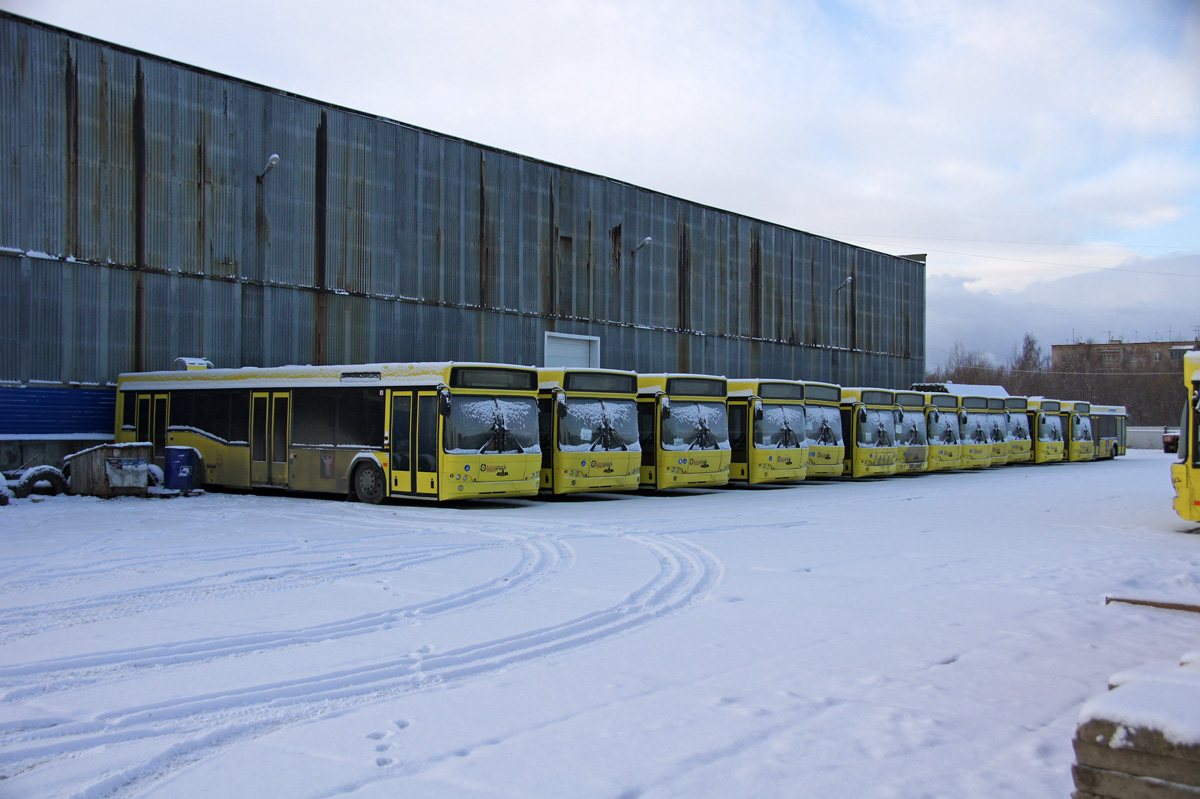 Красноярский край — Новые автобусы