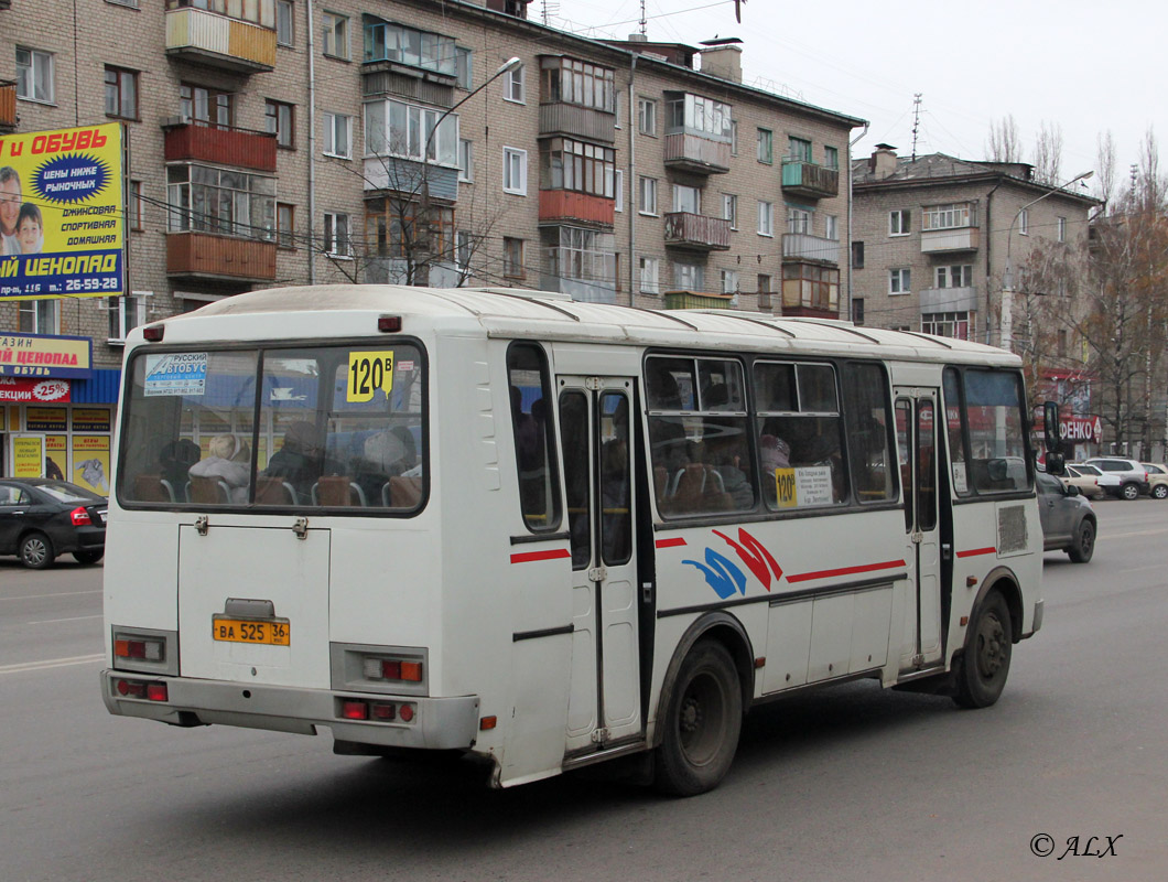 Воронежская область, ПАЗ-4234 № ВА 525 36