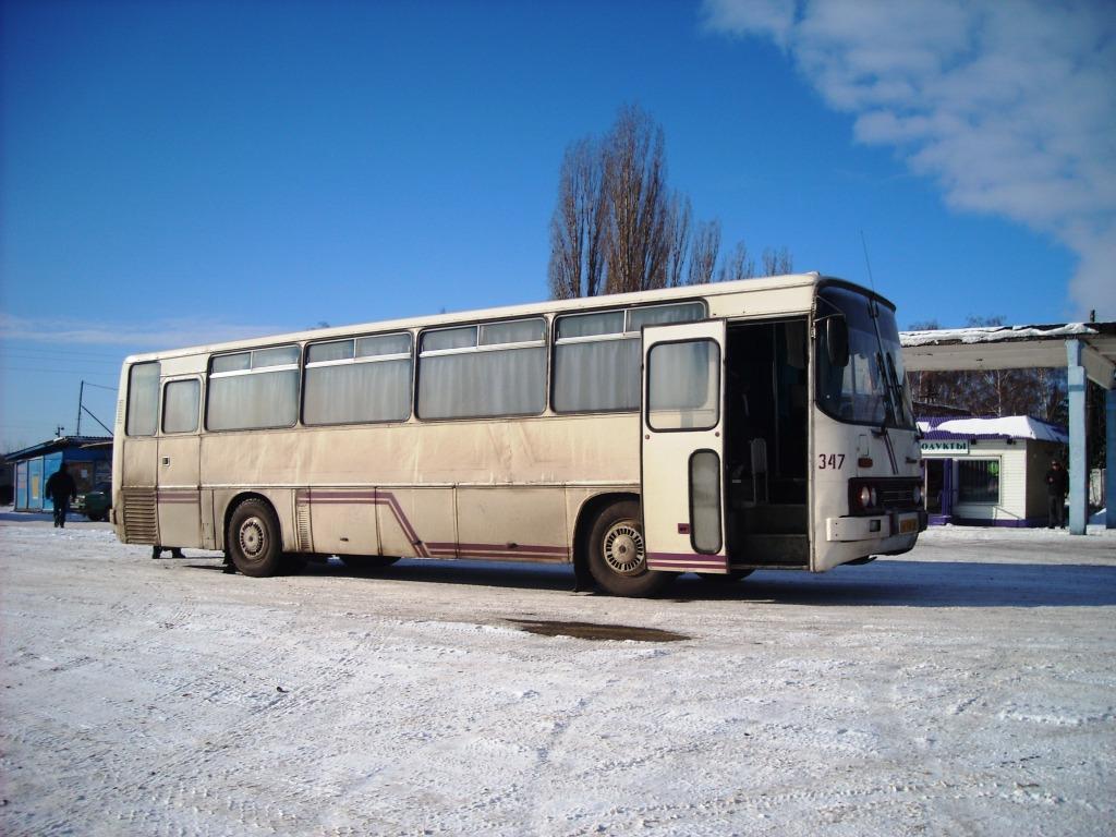 Автобус железногорск белгород. Икарус 256.51. Ikarus 256 Белгород Железногорск. Икарус 256.51 Курск. Автостанция Горшечное.