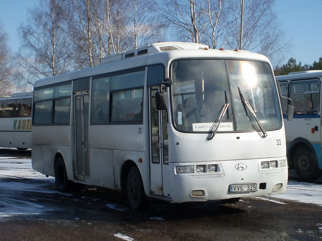 Литва, Hyundai AeroTown № 33