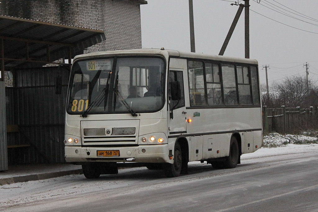 Ленинградская область, ПАЗ-320402-03 № АМ 168 47