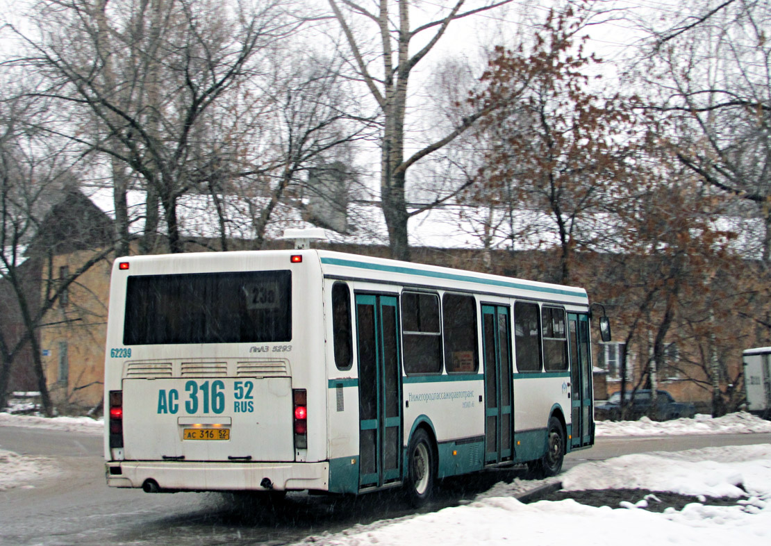 Нижегородская область, ЛиАЗ-5293.00 № 62239