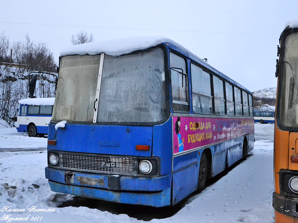 Murmansk region, Ikarus 260 № 3688