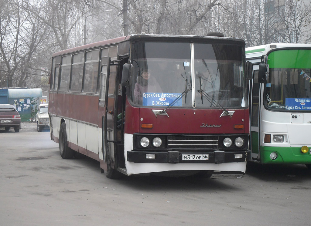 Курская область, Ikarus 256 № М 313 ОЕ 46