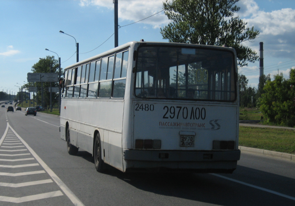 Санкт-Петербург, Ikarus 260.50 № 2480