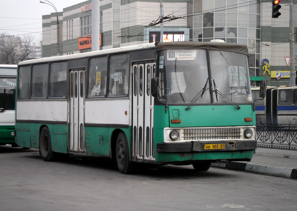 Белгородская область, Ikarus 260.43 № АВ 103 31