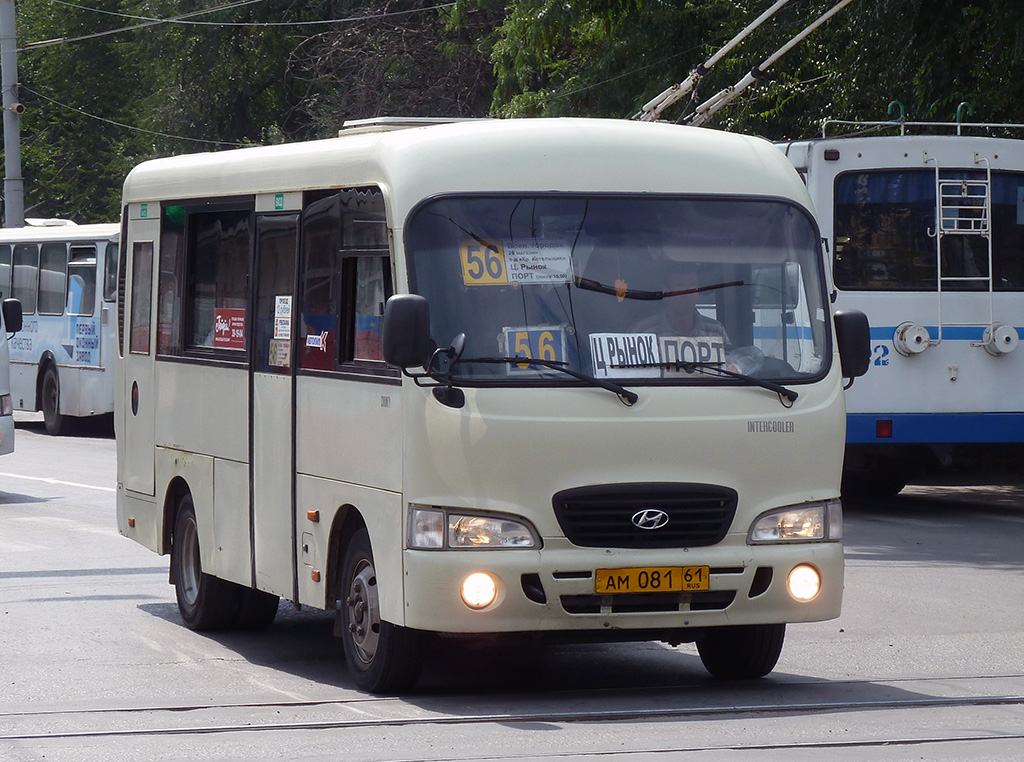 Ростовская область, Hyundai County SWB C08 (РЗГА) № 19