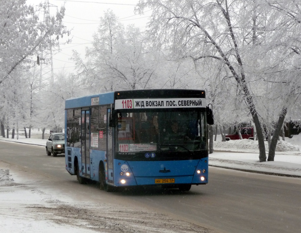 Новосибирская область, МАЗ-206.060 № МУ 254 54