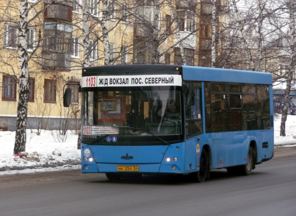 Новосибирская область, МАЗ-206.060 № МУ 254 54