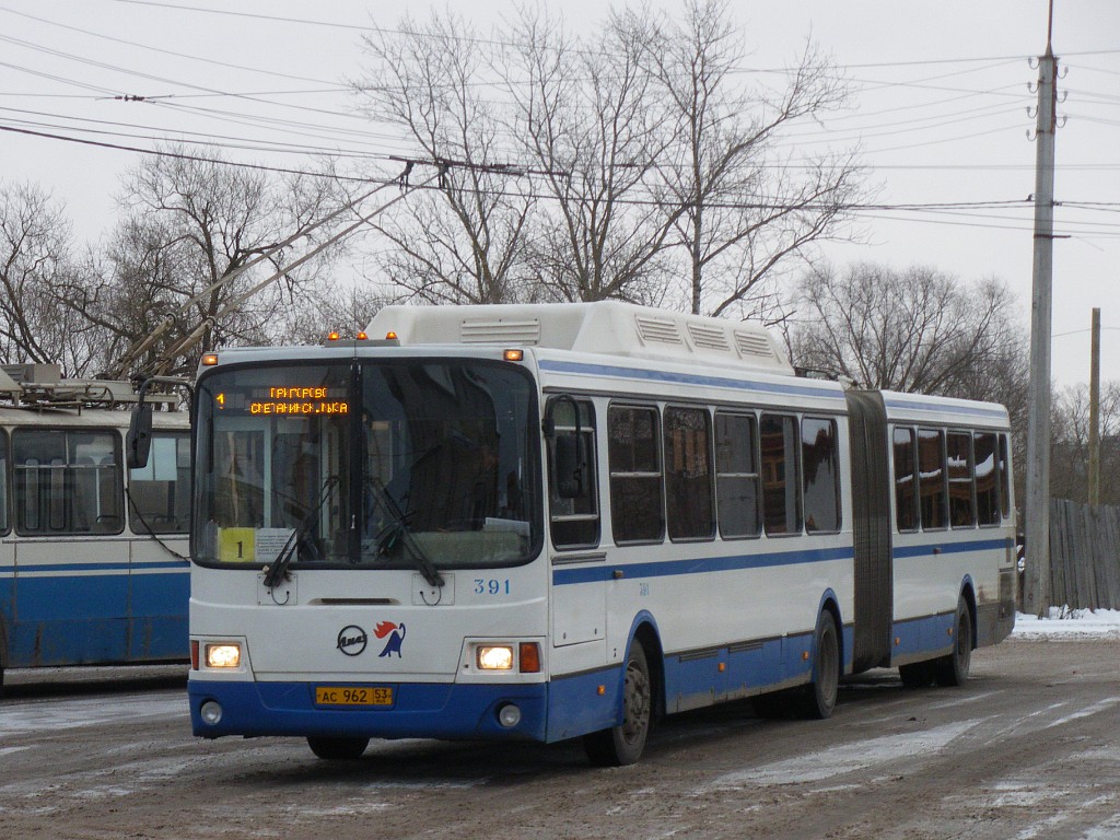 Новгородская область, ЛиАЗ-6212.70 № 391