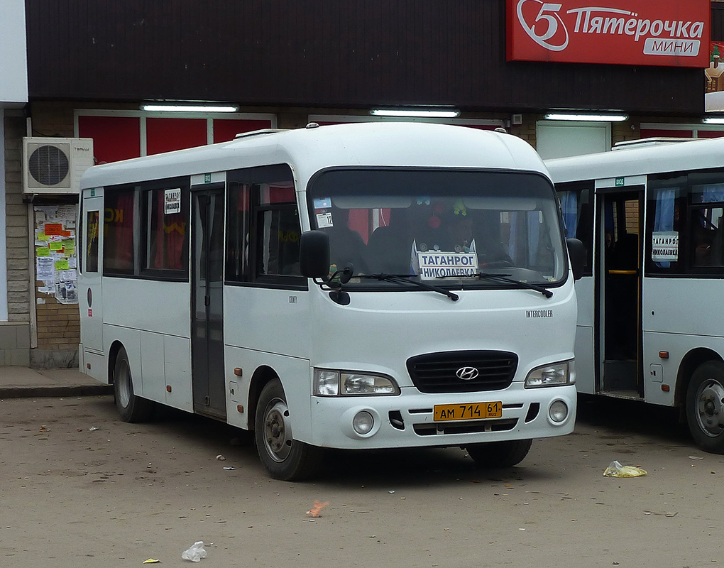 Ростовская область, Hyundai County LWB C11 (ТагАЗ) № АМ 714 61