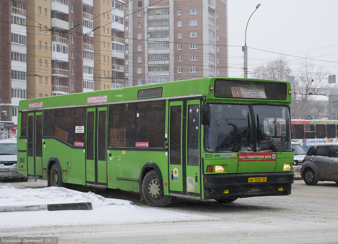 Novosibirsk region, MAZ-104.021 № 8177