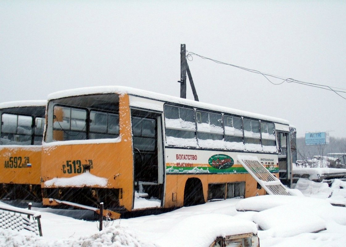 Архангельская область, Ikarus 260.51F № С 513 ХТ 29