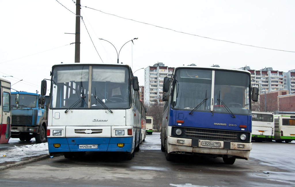 Москва, Ikarus 256.55 № М 440 ОВ 197; Москва, Ikarus 260.51F № Т 820 НЕ 197