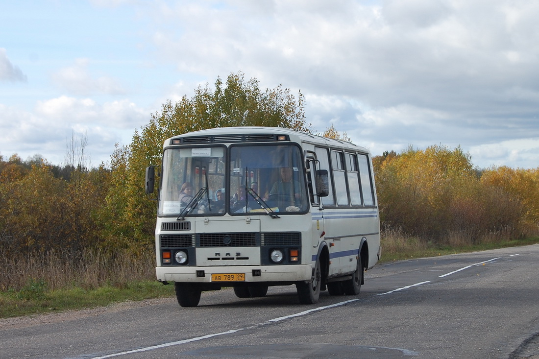 Архангельская область, ПАЗ-32054 № 4