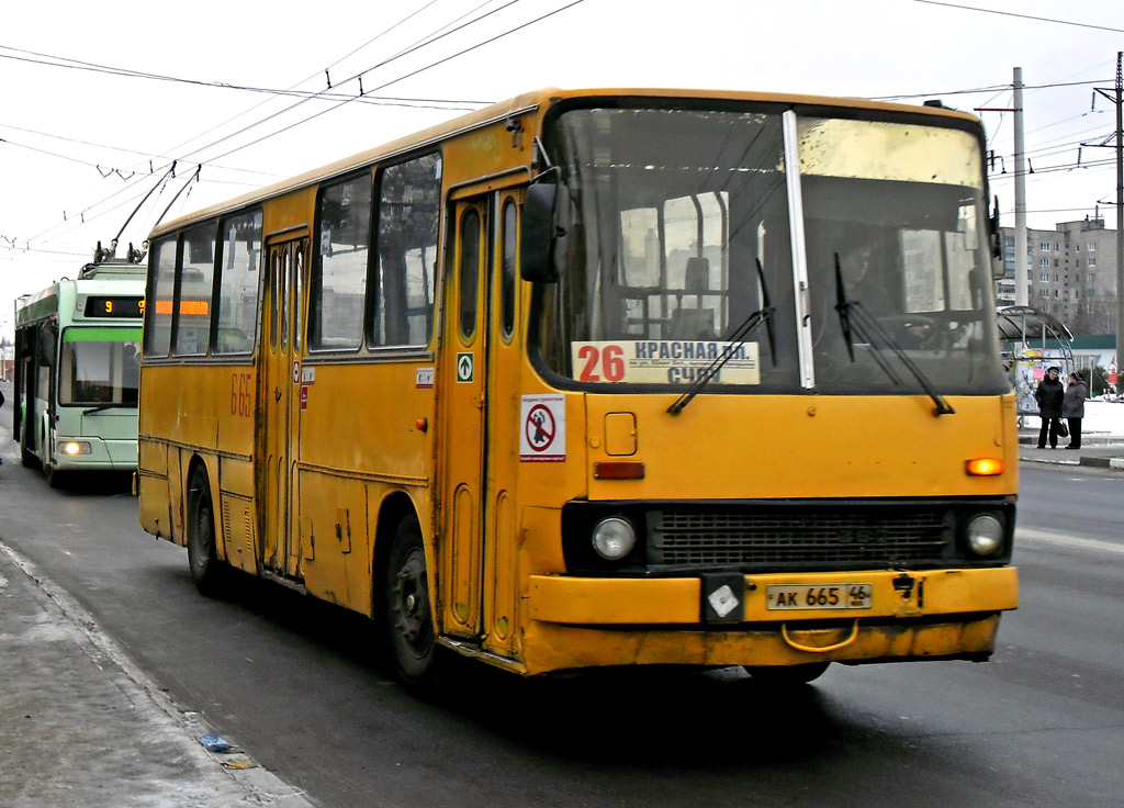 Курская область, Ikarus 260.43 № 665