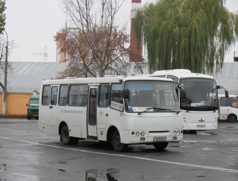 Гомельская область, ГАРЗ А0921 "Радимич" № 060259