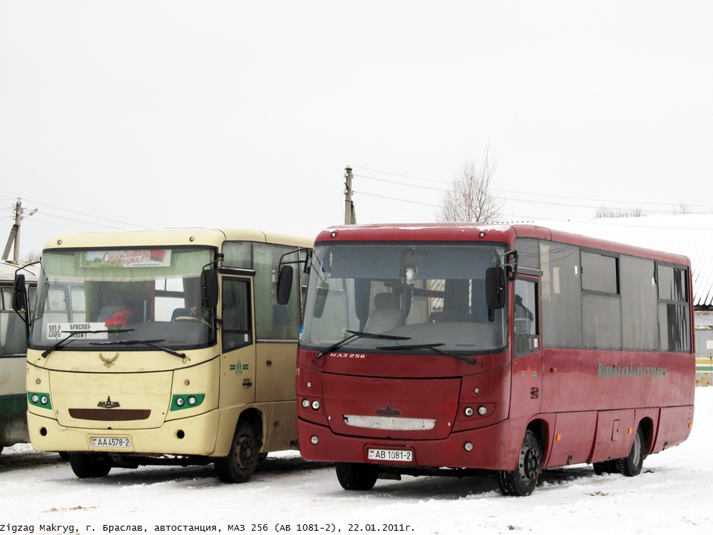 Витебская область, МАЗ-256.170 № 020231