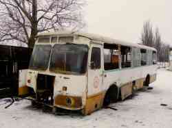 Lipetsk region, Ikarus 260.43 # 294 — Bus Transport