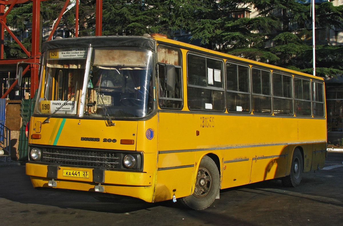 Автобус паз туапсе 190 джубга фото