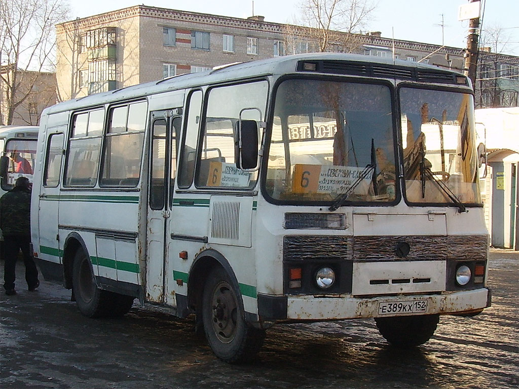 Нижегородская область, ПАЗ-3205-110 № Е 389 КХ 152