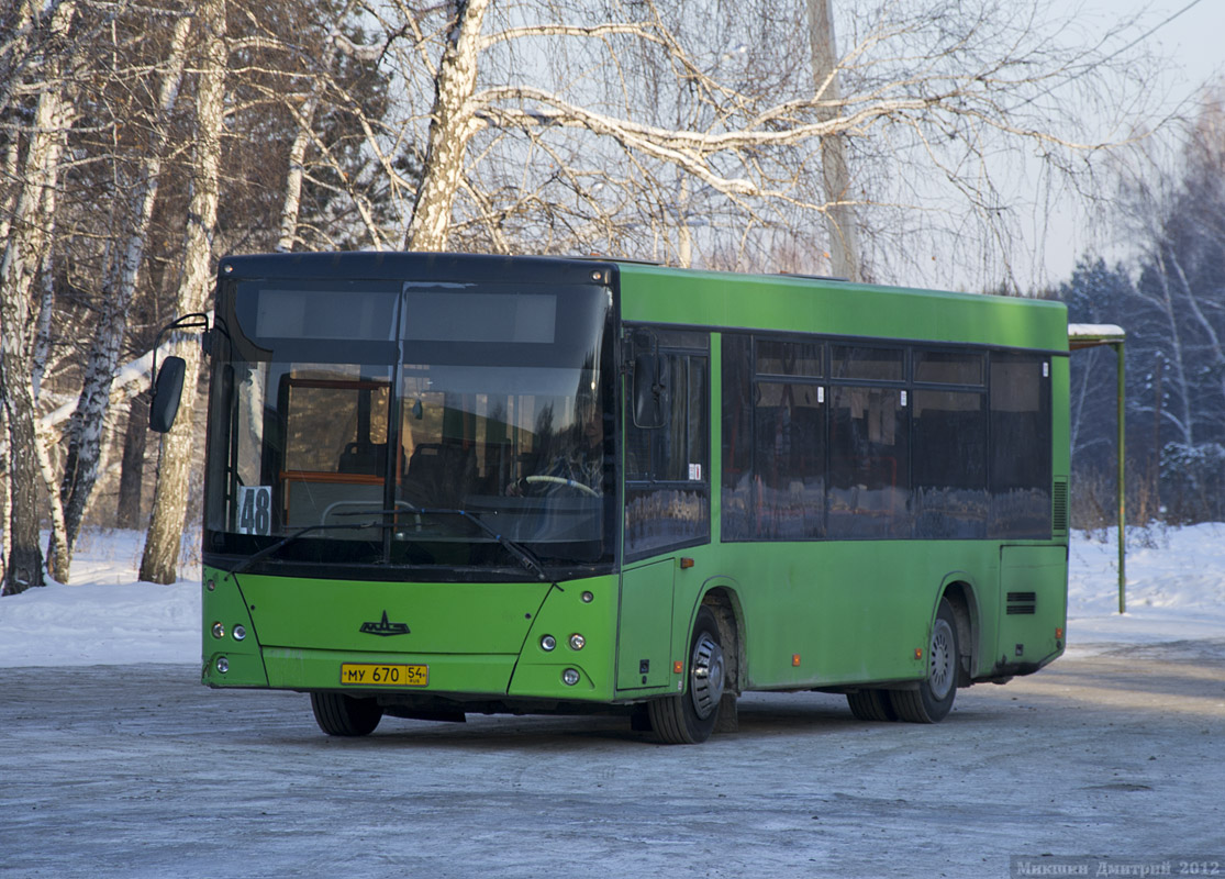 Новосибирская область, МАЗ-206.060 № 3125