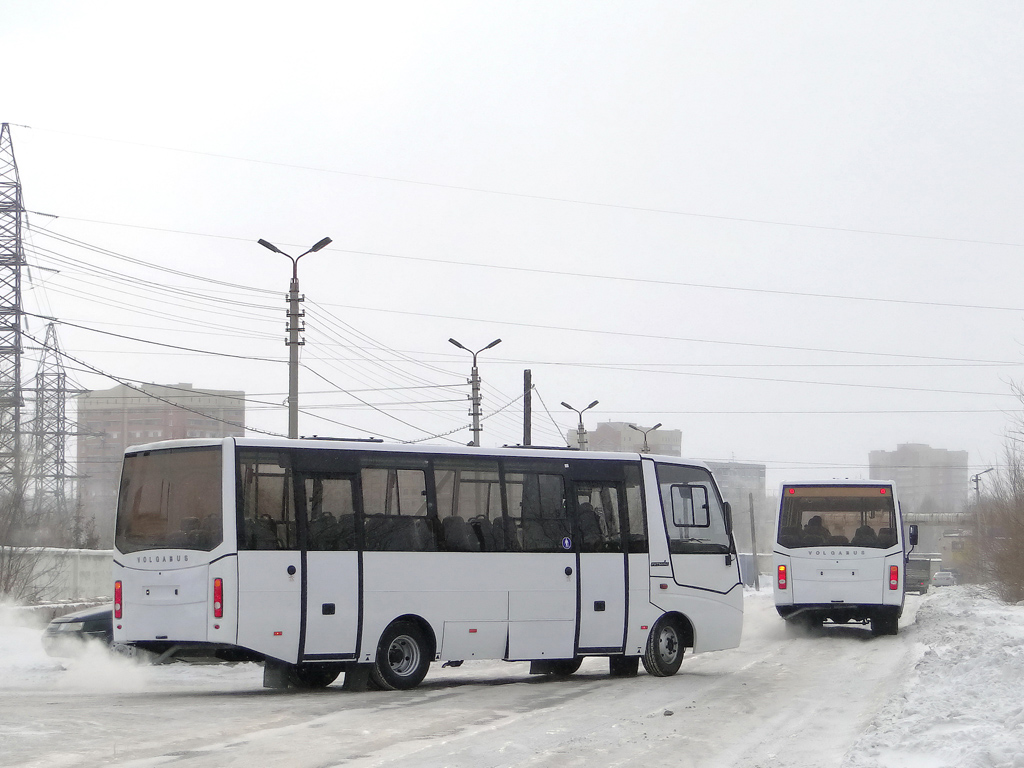 Волгоградская область — Новые автобусы "Volgabus"