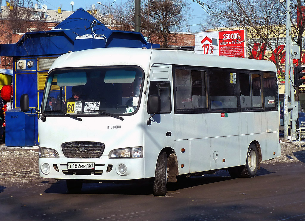 Ростовская область, Hyundai County LWB C11 (ТагАЗ) № Т 182 МР 161