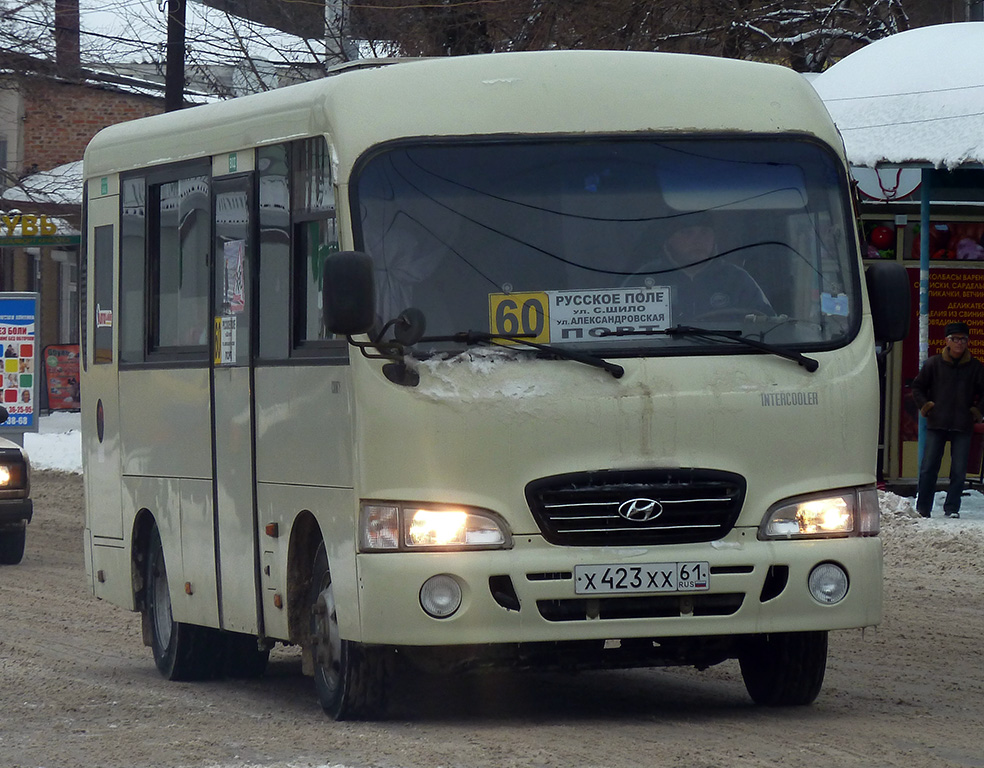 Ростовская область, Hyundai County SWB C08 (РЗГА) № Х 423 ХХ 61