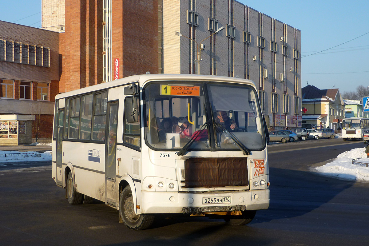 Ленинградская область, ПАЗ-320412-05 № 7576