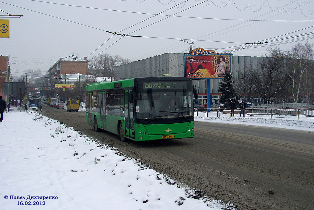 Кировоградская область, МАЗ-203.065 № 142