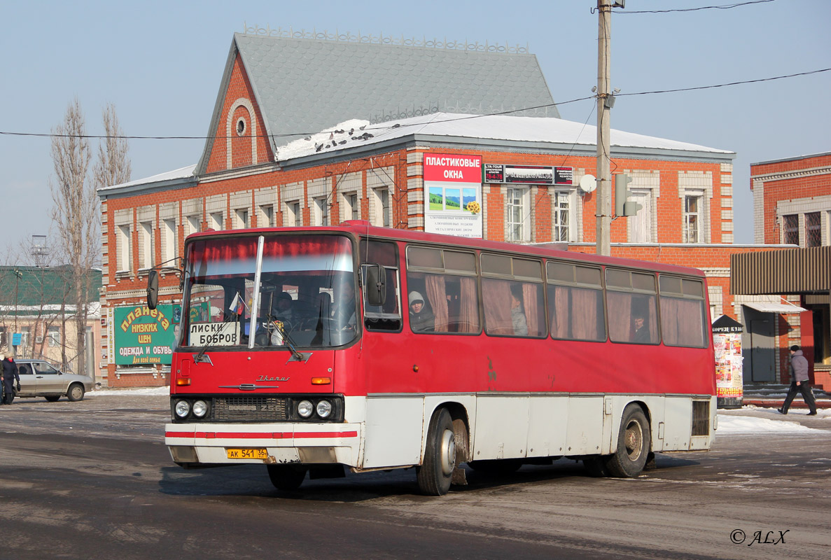 Воронежская область, Ikarus 256.74 № АК 541 36