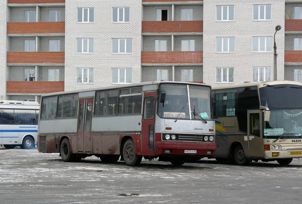 Курская область, Ikarus 256.51 № М 003 СК 46