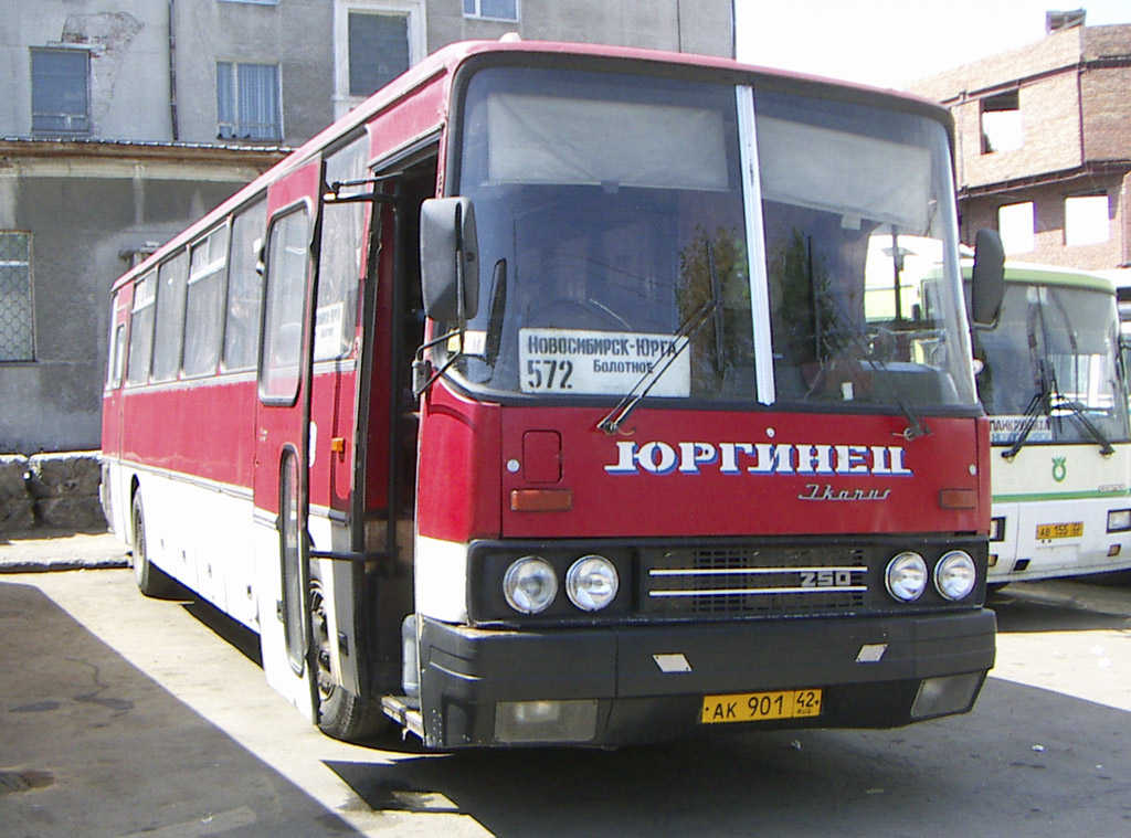 Кемеровская область - Кузбасс, Ikarus 250.59 № АК 901 42