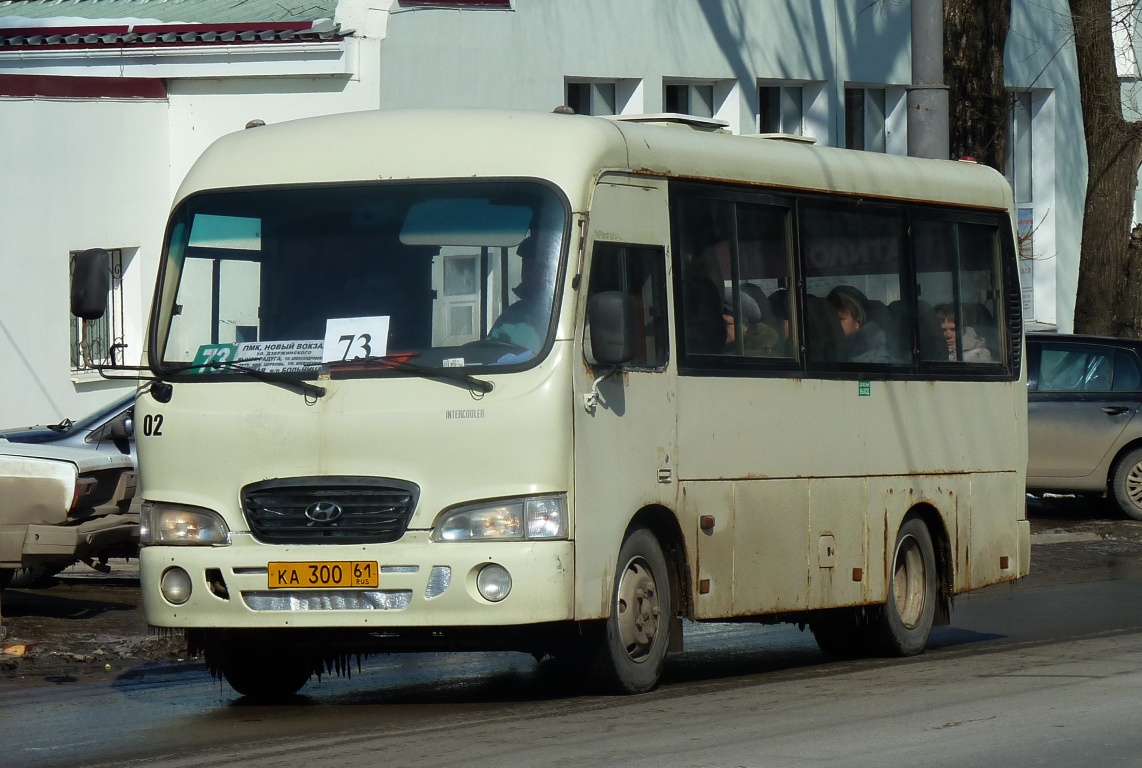 Ростовская область, Hyundai County SWB C08 (РЗГА) № 02