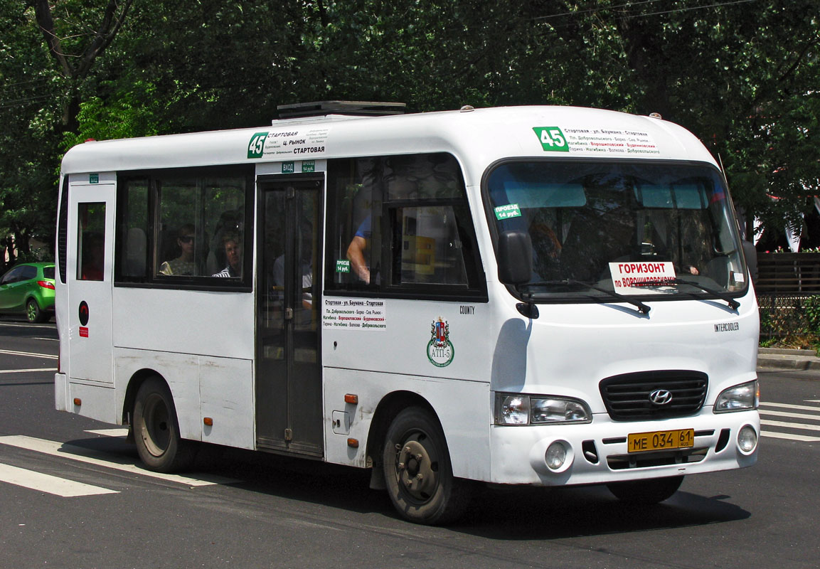 Ростовская область, Hyundai County SWB C08 (ТагАЗ) № 164