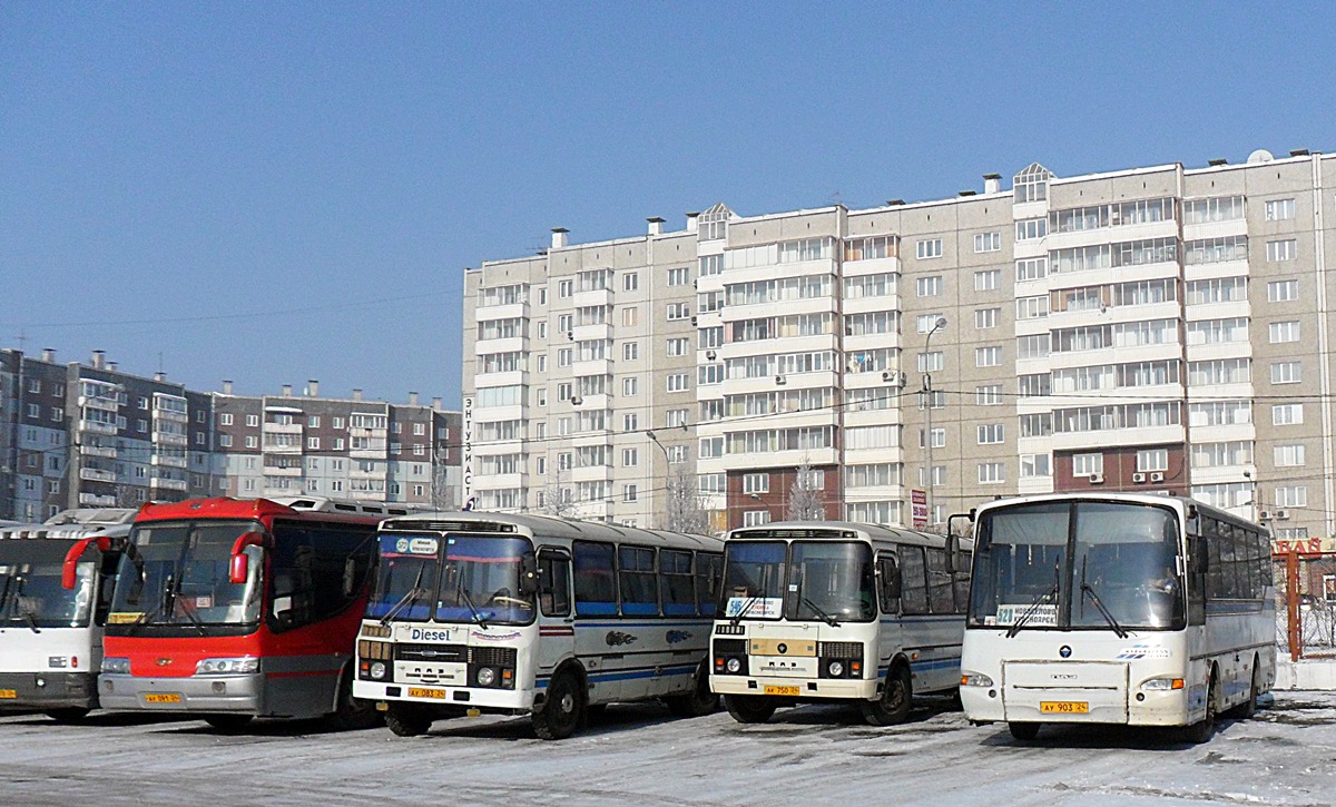 Краснаярскі край, ПАЗ-4230-01 (1-1) № АУ 903 24; Краснаярскі край — Разные фотографии