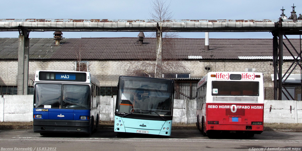 Brest region, MAZ-104.031 № 289; Brest region, MAZ-206.060 № 354; Brest region, MAZ-104.031 № 287; Brest region — Autobus parkы