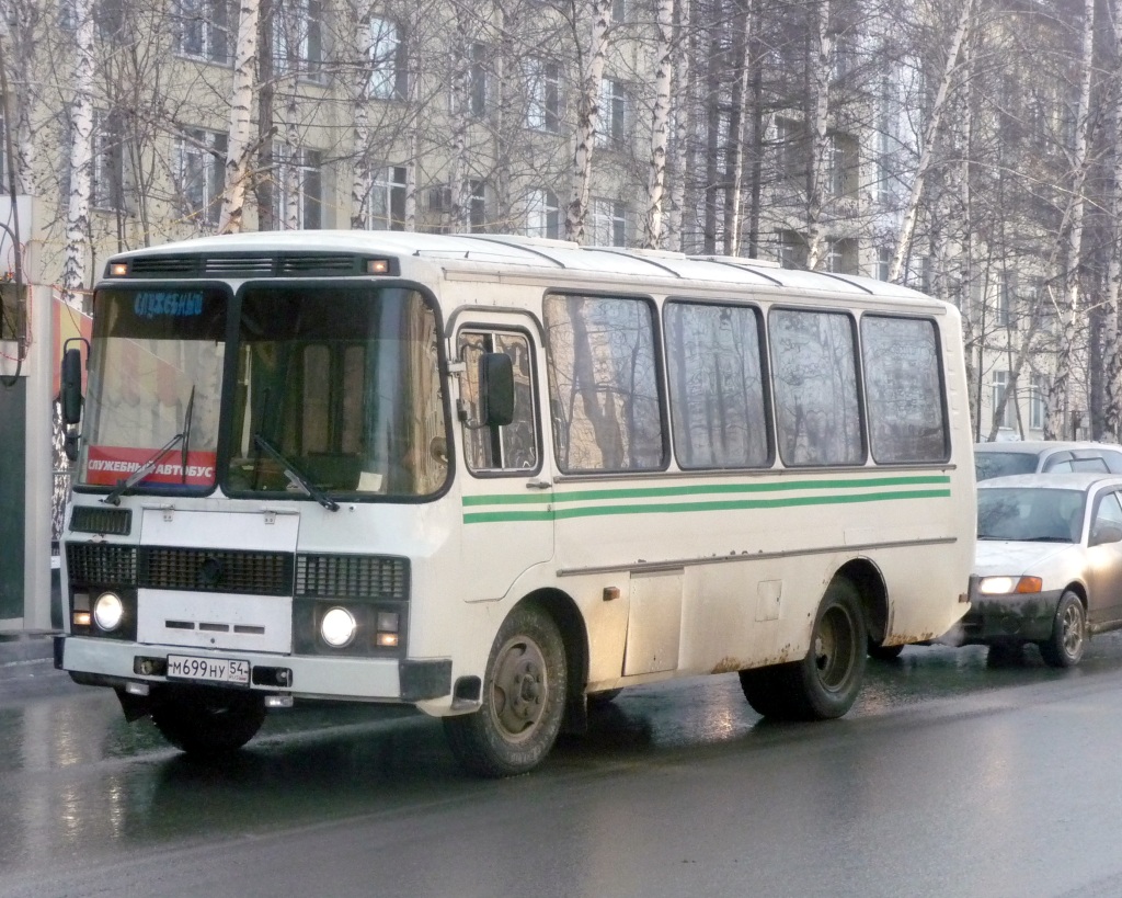 Новосибирская область, ПАЗ-3205-110 № М 699 НУ 54