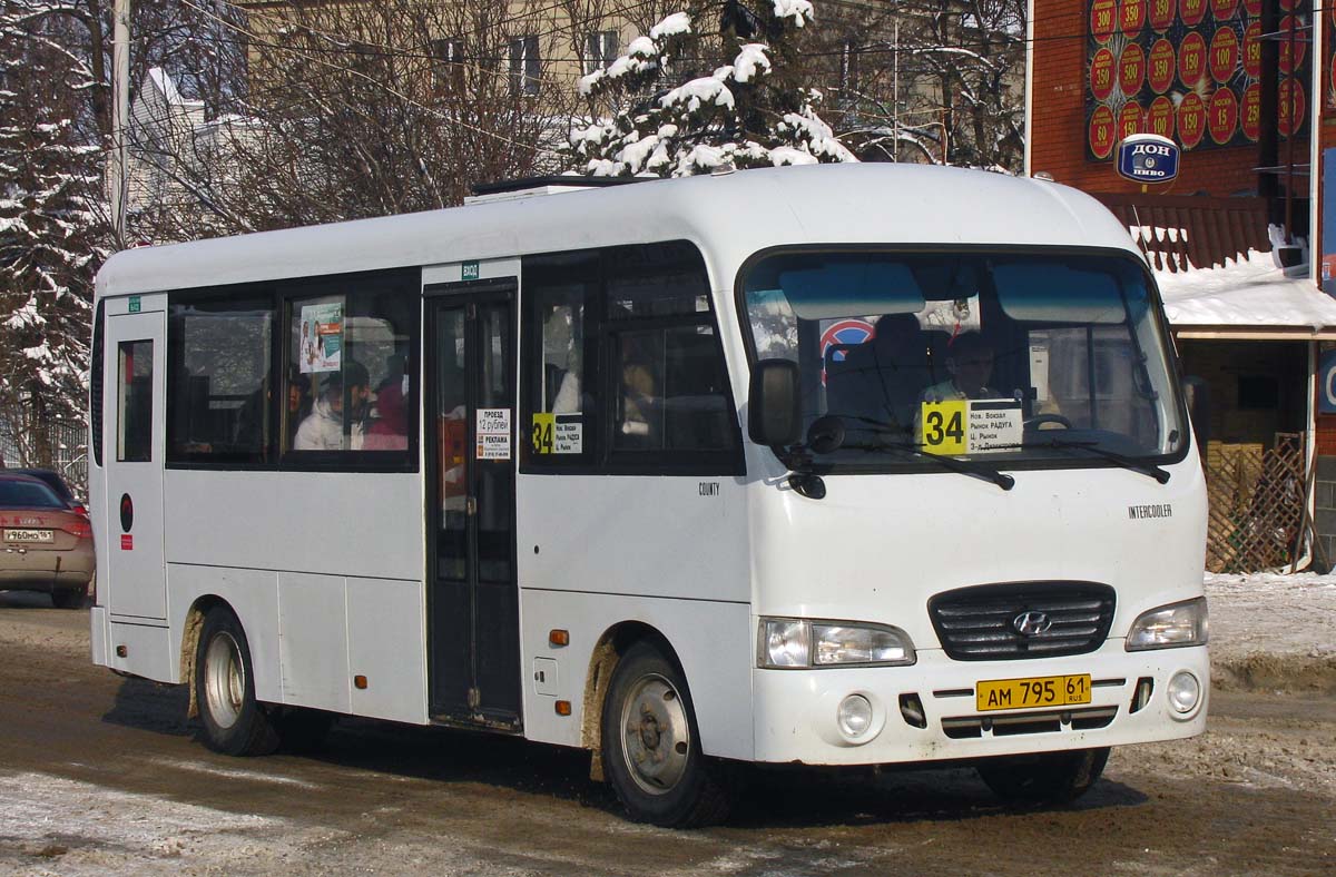 Ростовская область, Hyundai County LWB C09 (ТагАЗ) № 60