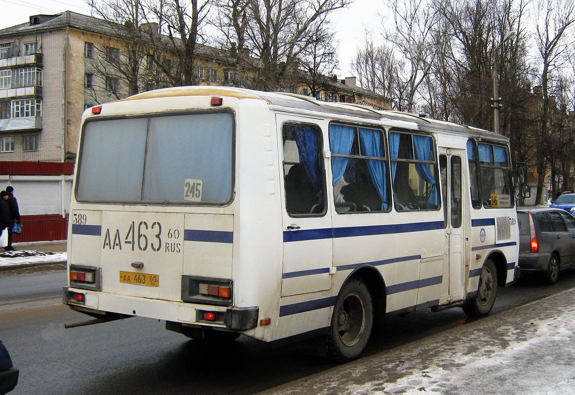 Псковская область, ПАЗ-3205-110 № 389