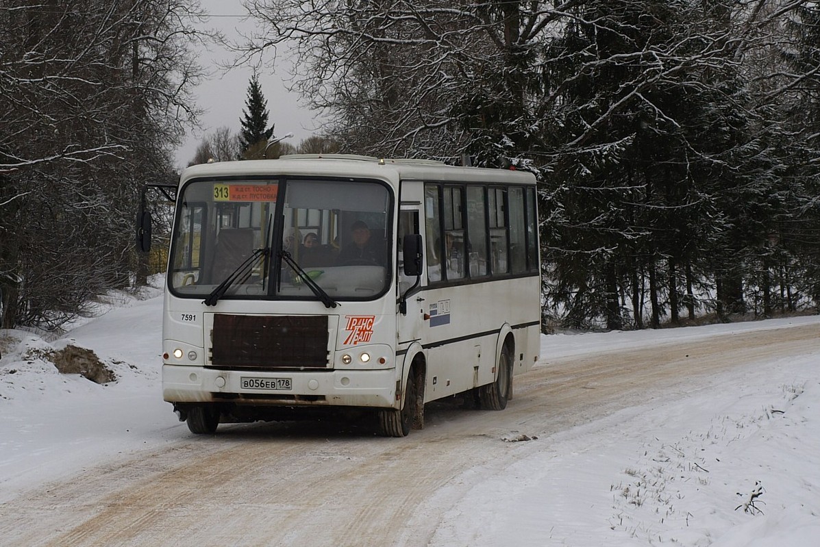 Ленинградская область, ПАЗ-320412-05 № 7591