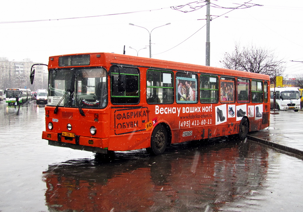 Москва, ЛиАЗ-5256.25 № 10365