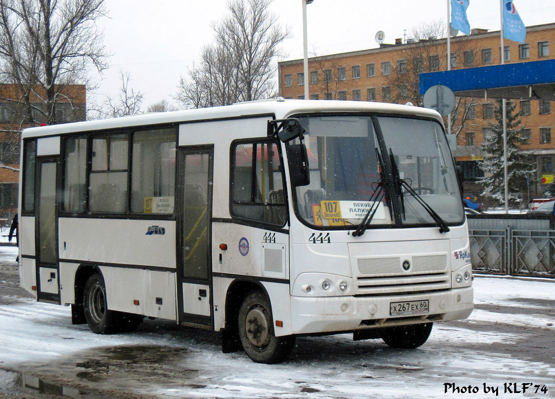 Псковская область, ПАЗ-320402-05 № 444