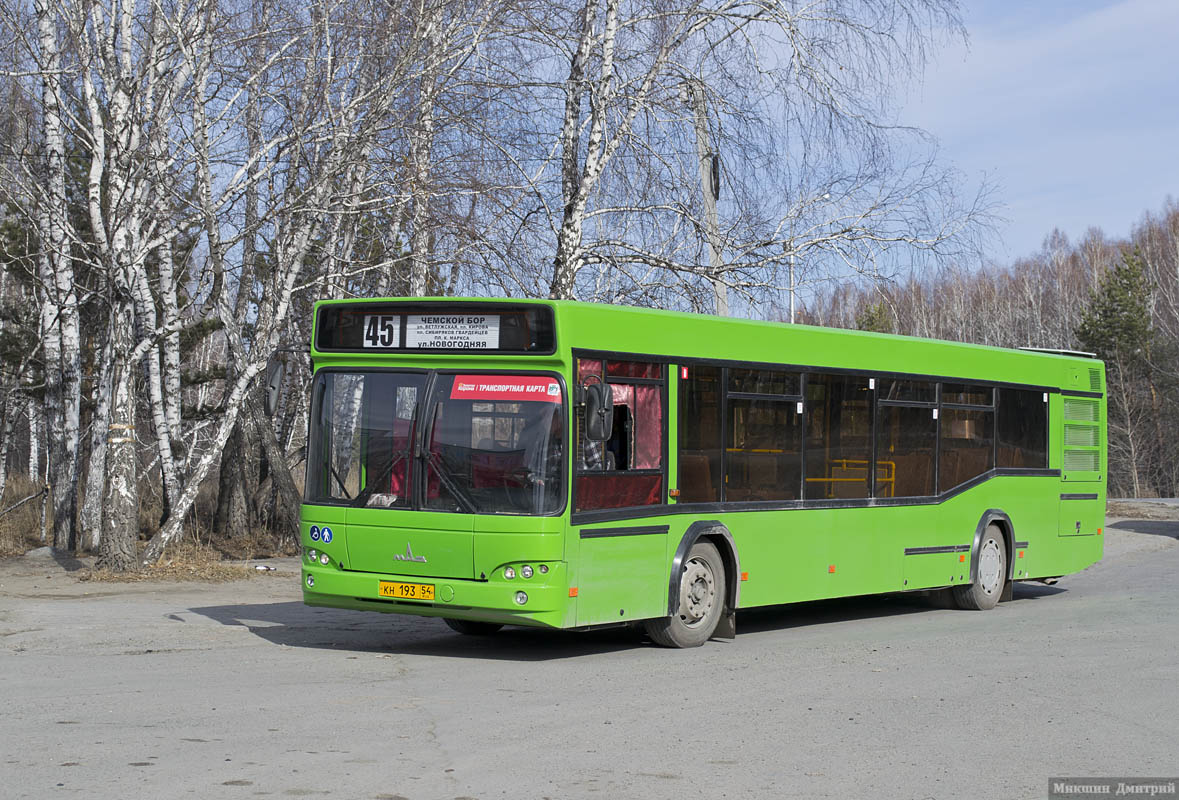 Novosibirsk region, MAZ-103.465 № 10003