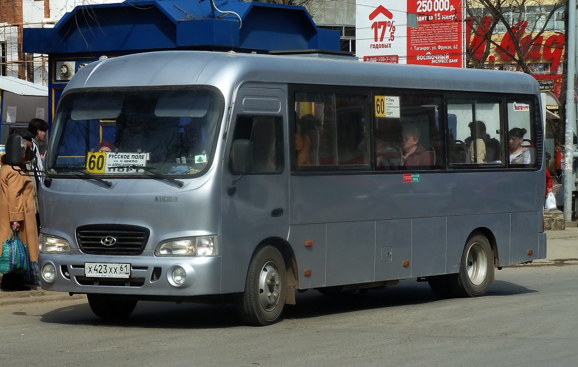 Ростовская область, Hyundai County LWB C09 (ТагАЗ) № Х 423 ХХ 61